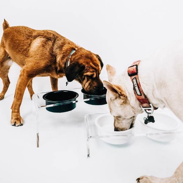 Pet Bowls and Feeders