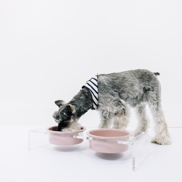 Small Clear Acrylic Double Pet Bowl Feeder with Silver Bowls - polymdrn