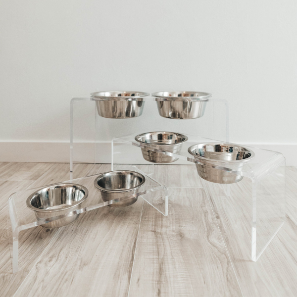 Clear Acrylic Dog Feeders, Modern Elevated Dog Bowls